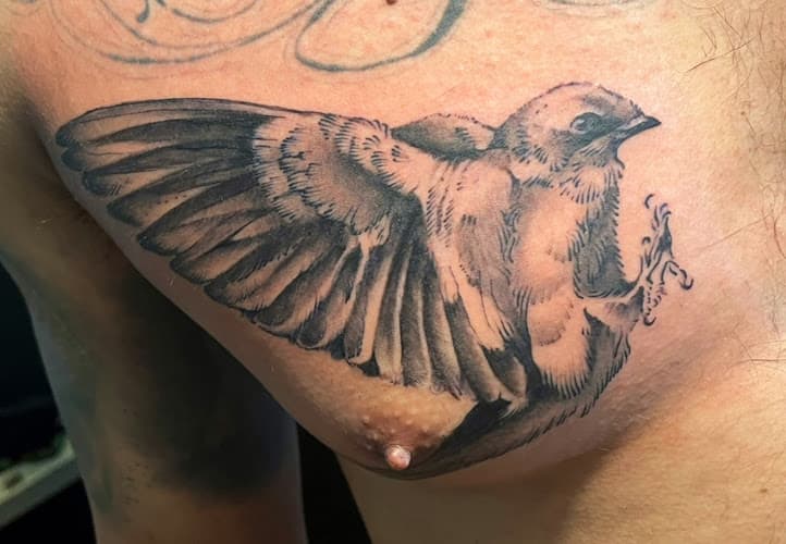 Business listing image