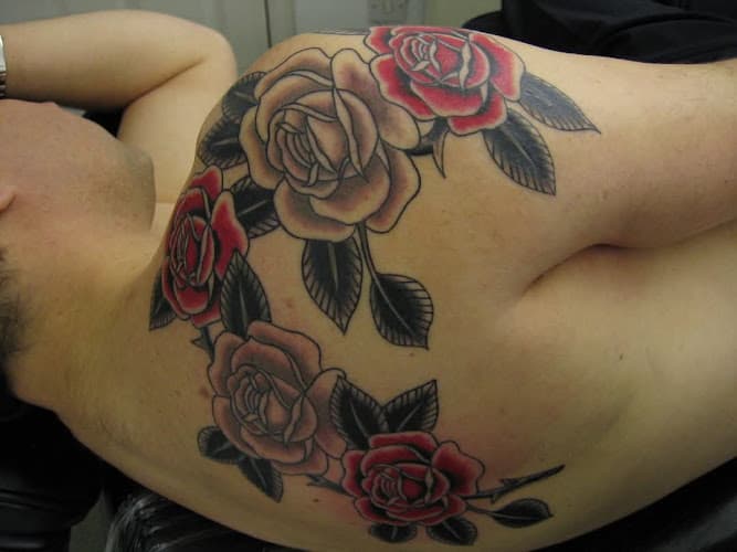 Business listing image